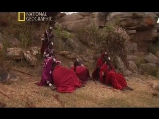 Ng׃ жизнь племен масаи последнее танец воинов ⁄ фильм 1