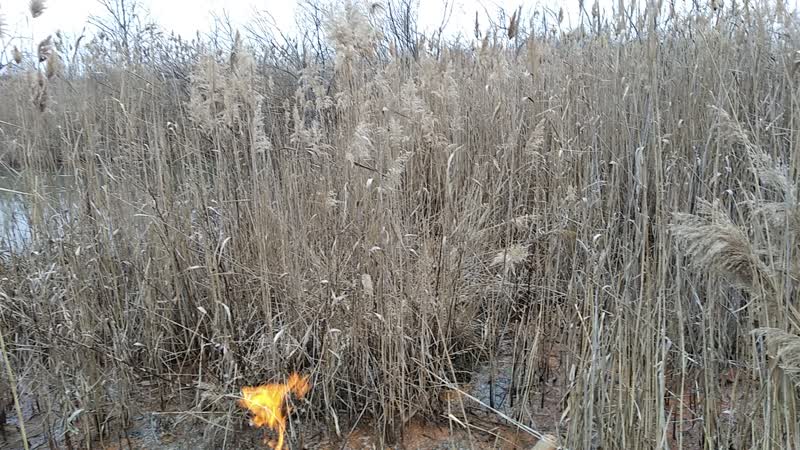 Вокруг горящей скважины