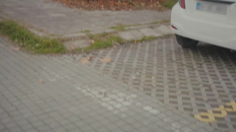 Doğduğun ev kaderindir 24 bölüm