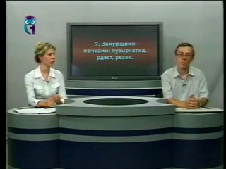 Цветы передача 1 история цветоводства размножение растений