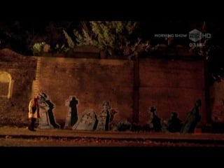 Peter fox schwarz zu blau