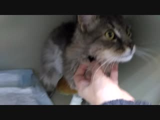 Савелий любит усняшки