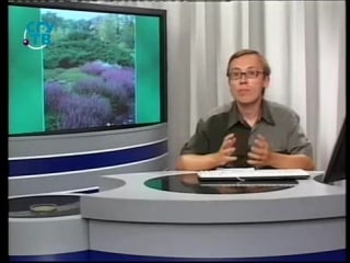 Цветы урок 4 7 декоративные деревья и кустарники часть 2