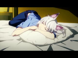 Nekomonogatari shiro amvheart afire feat strix ncs amv expo vaqr1qr1wdc 1080p mp4