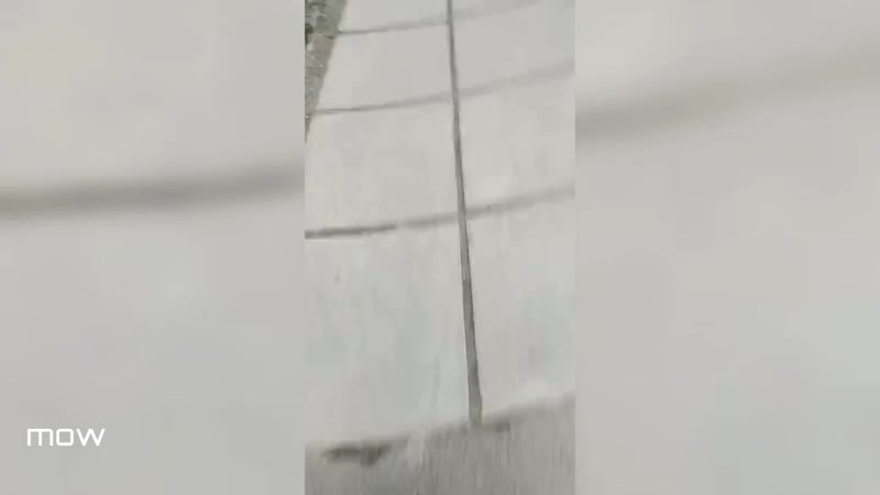 Депутат единорос владимир бендус напал на журналиста mp4