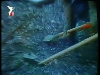 Чорно біла межа частина 1 (музей чорнобиля) (2006)