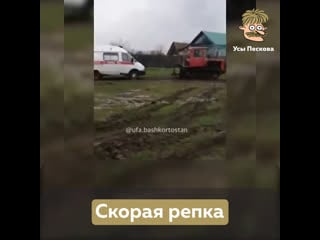 Скорая репка