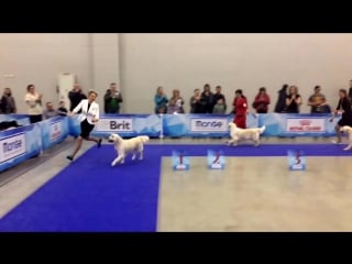 Eurasia 2017,days 2, female,ch class