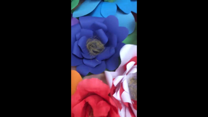 Paper flower - BEST XXX TUBE