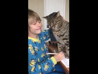 My nephew had the best interruption while trying to do his homework