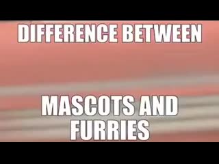 About mascots and furries