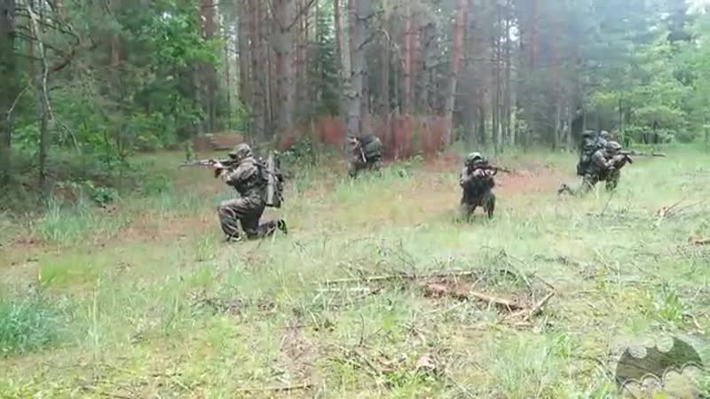 Alisa nebo slavyan voennaya razvedka pokazuha razvedchiki mp4