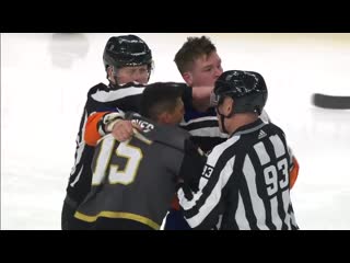 Ross johnston vs ryan reaves