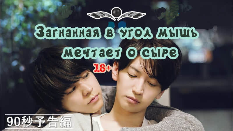 [j movie] загнанная в угол мышь мечтает о сыре (2020)
