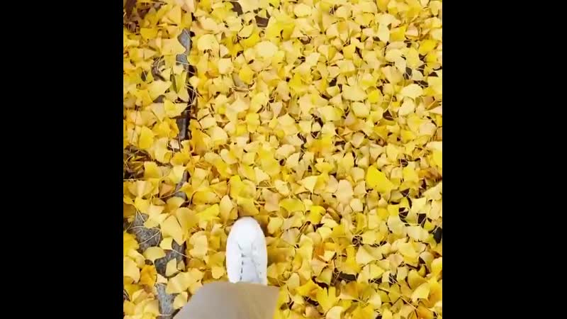 201109 • ong seongwu • osw onge instagram update