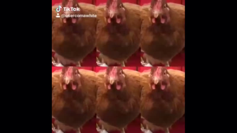 Бэкстейдж викторики ким к 6 заданию 5 сезона