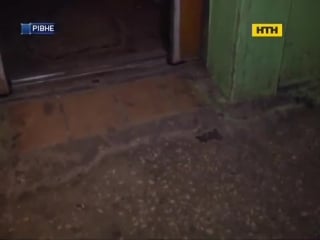 Пограбування рівне