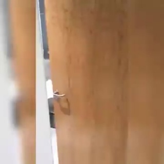 Троллит свою девушку (vhs video)