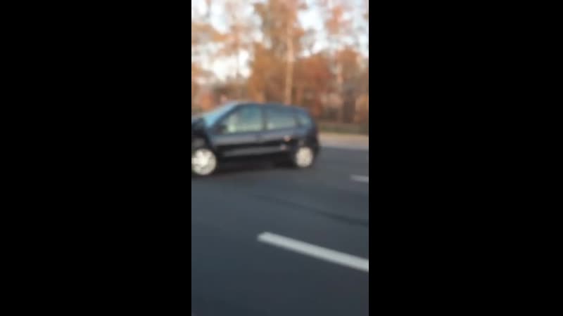 Возле малинои