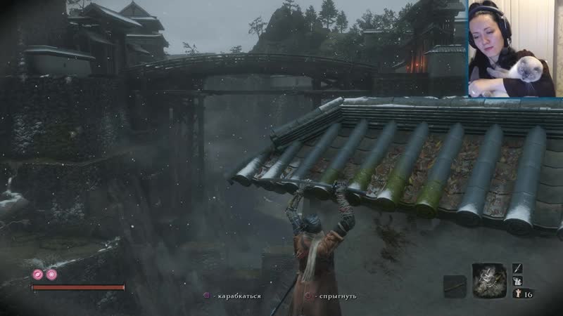 Oniksiya sofinikum ониксия софиникум мяу