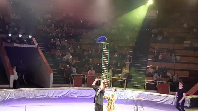 Бобер в цирке справил нужду на клоуна