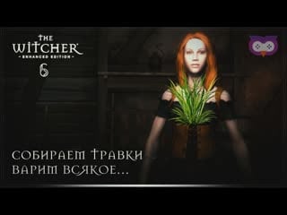 Отто, мирт и ведьмино зелье 黎 ведьмак 1 (the witcher) #6