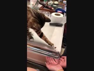 No one can predict his next step