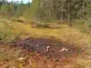 Голый придурок