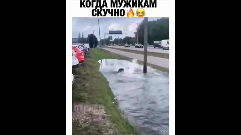 Красиво плывут))