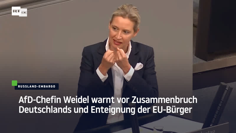 Afd chefin weidel warnt vor zusammenbruch deutschlands und enteignung der eu bürger