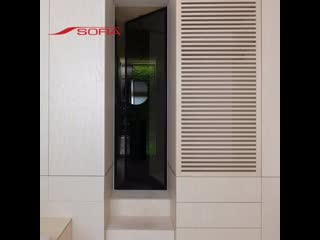 Стеклянные двери sofia