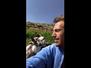 Man argues with a baby goat