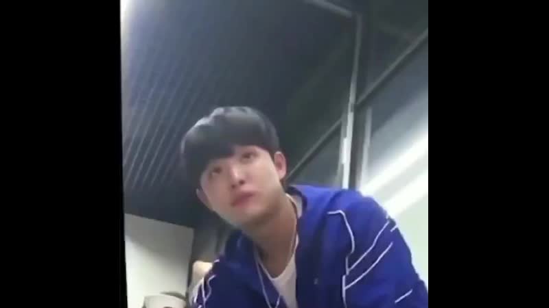 Хорошо питайтесь, солнышки