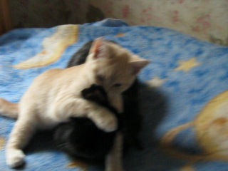 Киска джуси и дакота)