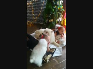 Vid 20190126 145427 mp4