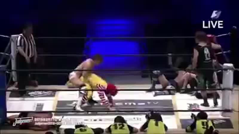 Японский рестлинг как отдельный вид искусства (vhs video)