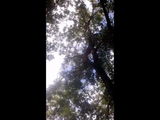 Vid 20160703 170542