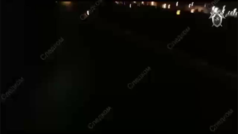 В аэропорту шереметьево человек погиб под шасси пассажирского самолёта