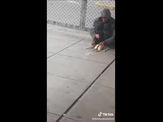 Дрессированные крысы (vhs video)