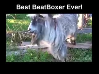 The best beatboxer ever i seen