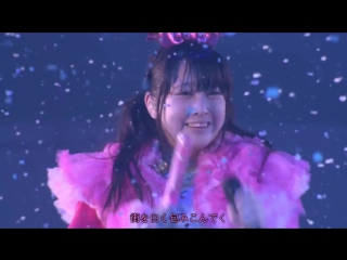 Team syachihoko sweet memories