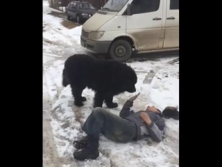 Медаль за отвагу