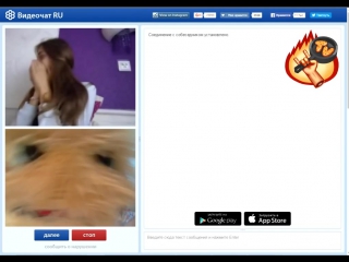 Шерстяной john cena