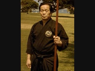 Soke teruo hayashi (hayashi ha shito ryu kai)