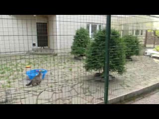 Vid 20201027 181350 347 mp4