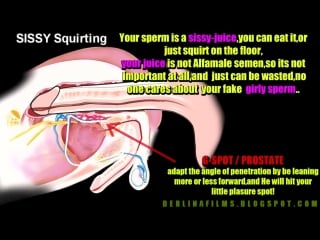 Анатомия shemele