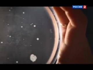 Как оно есть дары моря