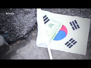 돈 vs 태극기 사람들은 뭘 주울까 사회실험 social experiment