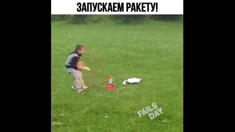 Кота чётко эвакуировали 🤣