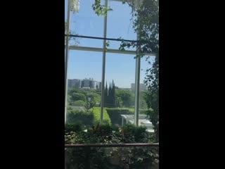 Bayou with love photoshoot